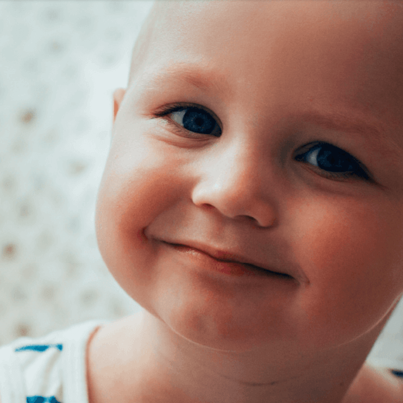 Webdesign Zeewolde, Project Direct, Timo van Tilburg, Snel een Webdesigner Zeewolde, Website laten maken Zeewolde, Website laten bouwen Zeewolde, SEO Zeewolde, SEA Zeewolde, Online Marketing Zeewolde, Wordpress Zeewolde, Zoekmachine optimalisatie Zeewolde