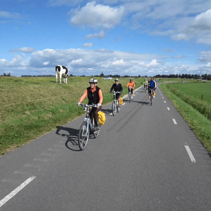 Webdesign Zeewolde, Project Direct, Timo van Tilburg, Snel een Webdesigner Zeewolde, Website laten maken Zeewolde, Website laten bouwen Zeewolde, SEO Zeewolde, SEA Zeewolde, Online Marketing Zeewolde, Wordpress Zeewolde, Zoekmachine optimalisatie Zeewolde