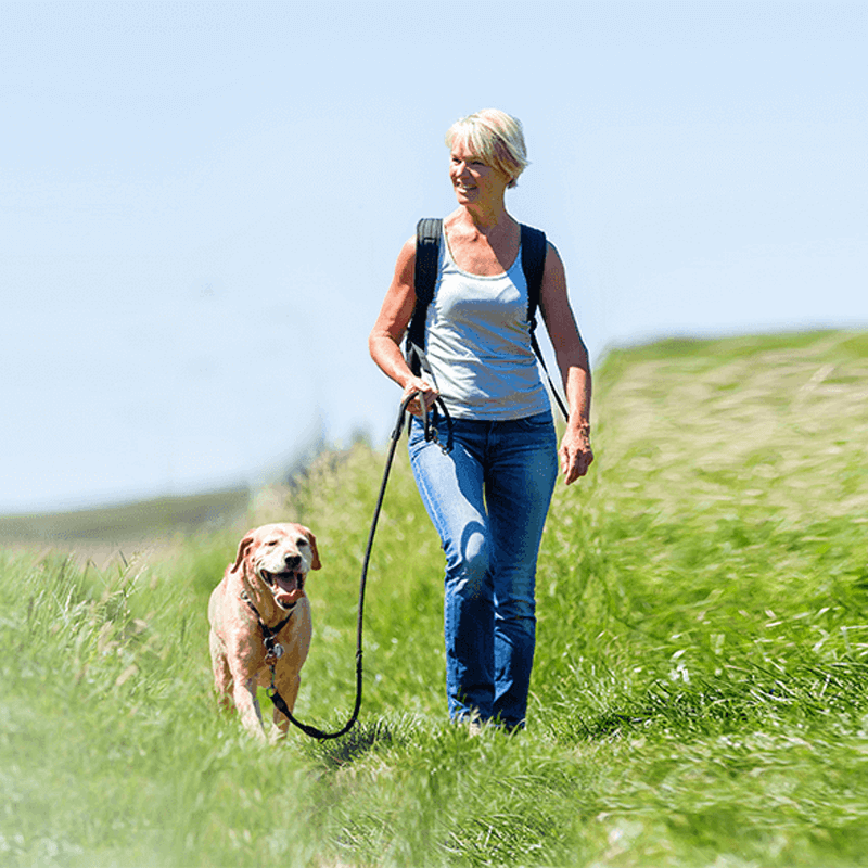 Webdesign Zeewolde, Project Direct, Timo van Tilburg, Snel een Webdesigner Zeewolde, Website laten maken Zeewolde, Website laten bouwen Zeewolde, SEO Zeewolde, SEA Zeewolde, Online Marketing Zeewolde, Wordpress Zeewolde, Zoekmachine optimalisatie Zeewolde